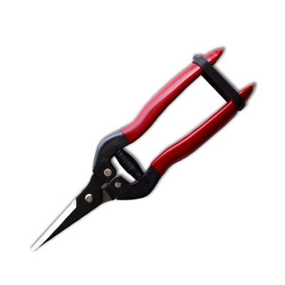 comprar SINSEUNG X3 Tijeras de hardware con colorante negro alcalino en las puntas de la hoja Fabricación en línea