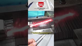 260109 1 VIDEO SINSEUNG