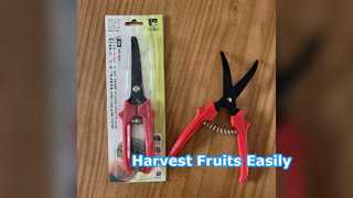 Tijeras recolectoras de fruta SK5 Acero
